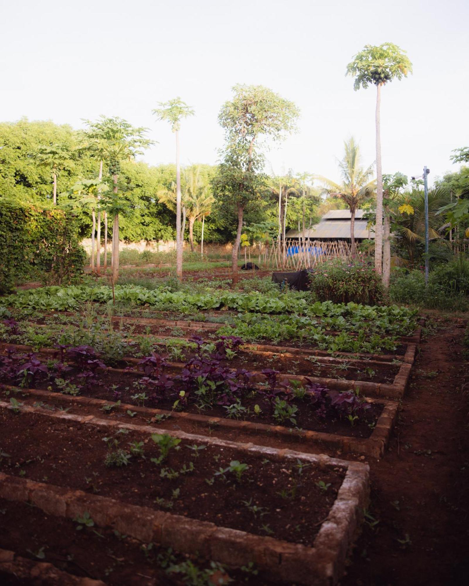 Maringi Sumba By The Sumba Hospitality Foundation Waikelo Eksteriør bilde
